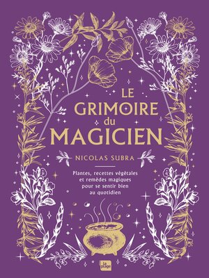 cover image of Le grimoire du magicien